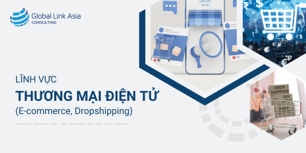 Lĩnh vực thương mại điện tử (E-commerce, Dropshipping)